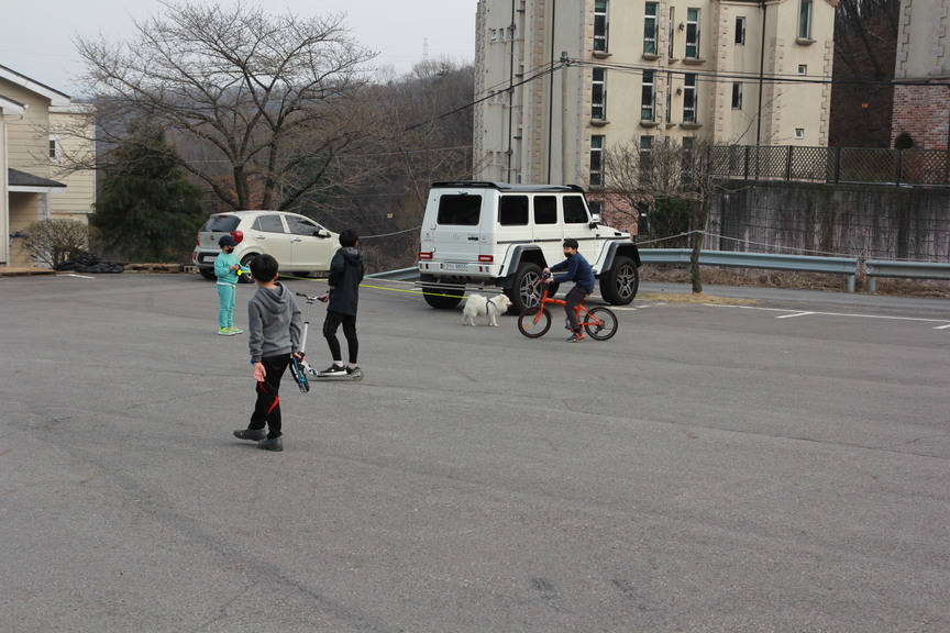 IMG_2864.jpg
