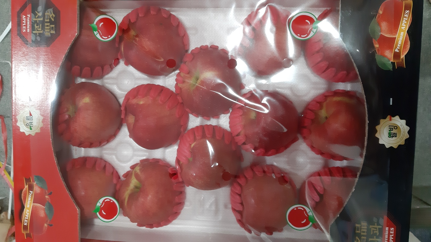 KakaoTalk_20200916_201918413.jpg
