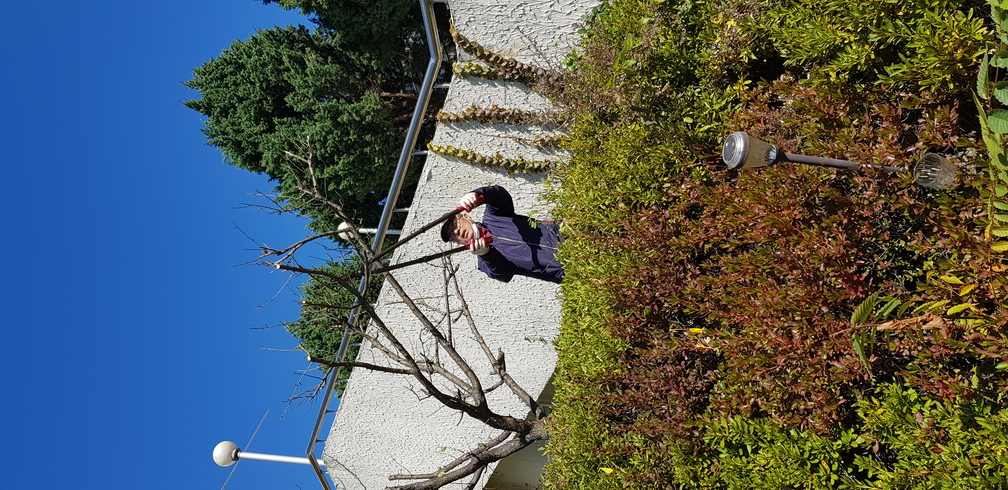 KakaoTalk_20201024_124510092.jpg