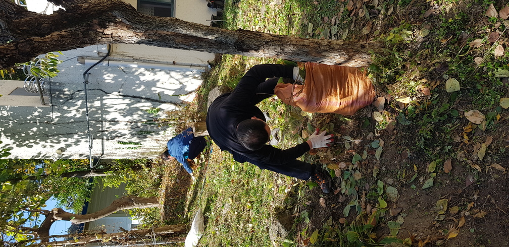 KakaoTalk_20201024_124544474.jpg
