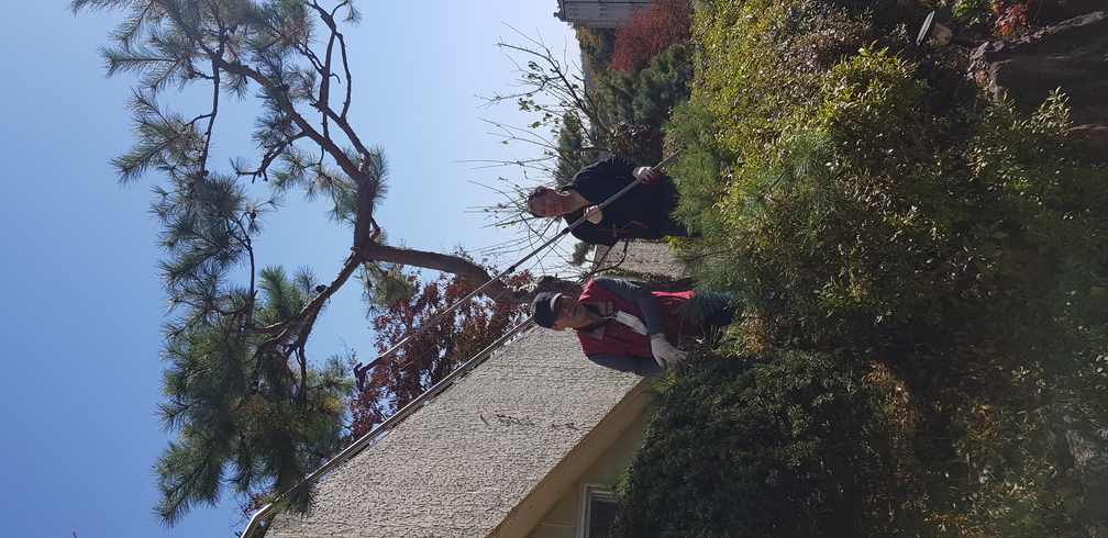 KakaoTalk_20201024_124600777.jpg