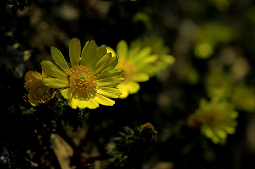_MG_6091.jpg