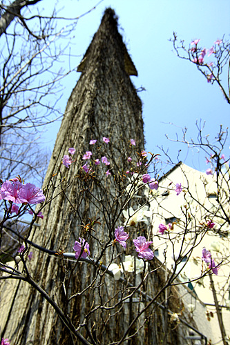 _MG_6830.jpg