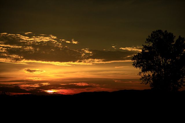 _MG_1280.jpg