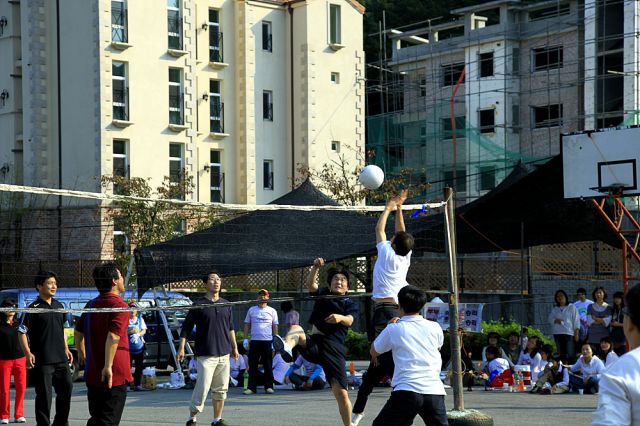 _MG_1505.jpg