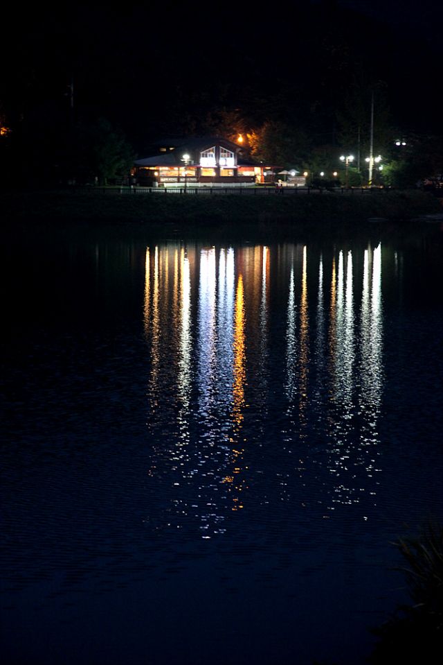IMG_1739.jpg