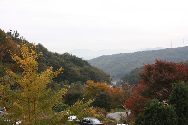 IMG_6410.JPG