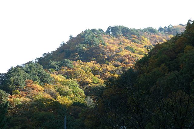 _MG_2021.jpg