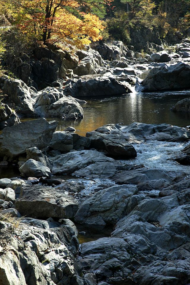 _MG_2009.jpg