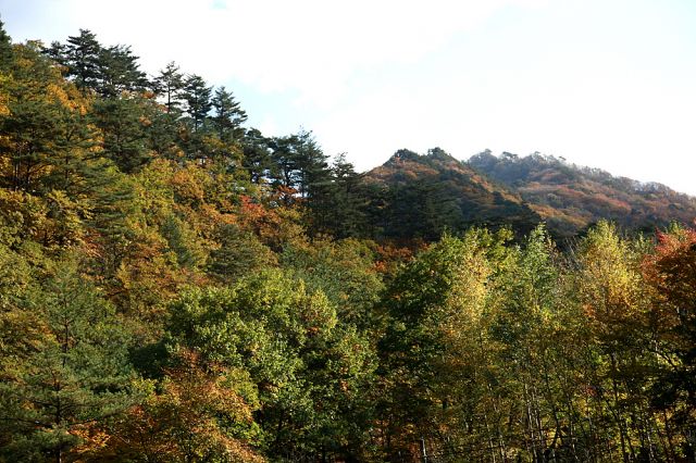 _MG_2007.jpg