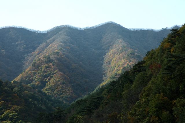 _MG_2006.jpg