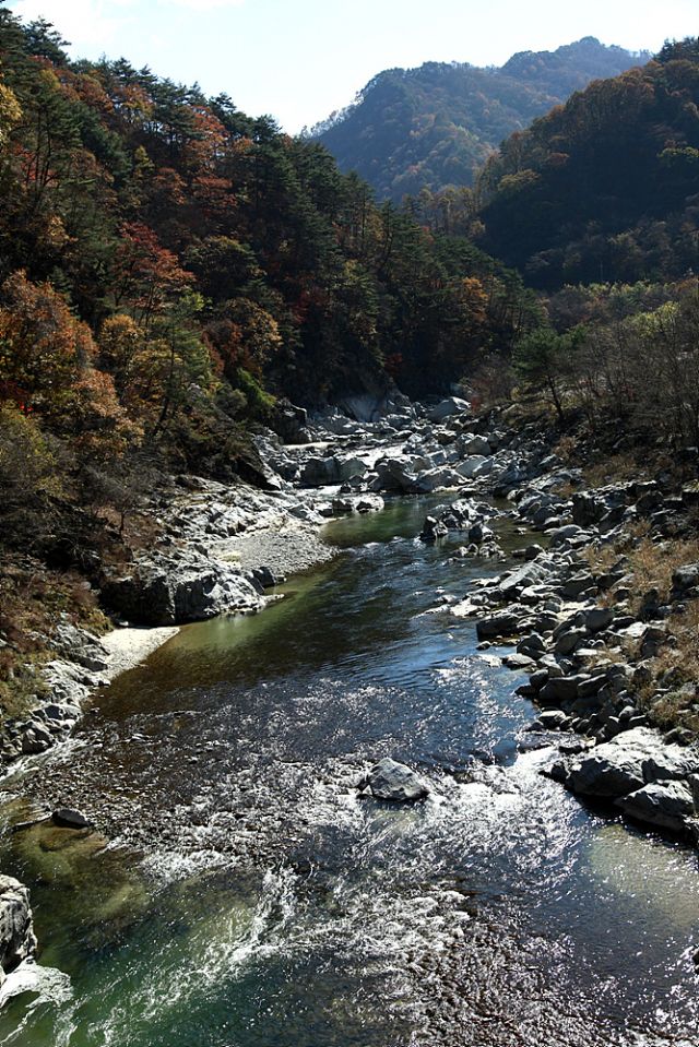 _MG_1977.jpg