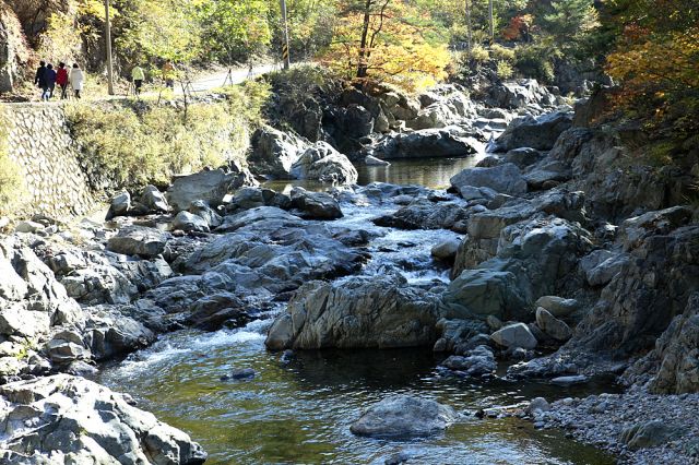 _MG_2008.jpg